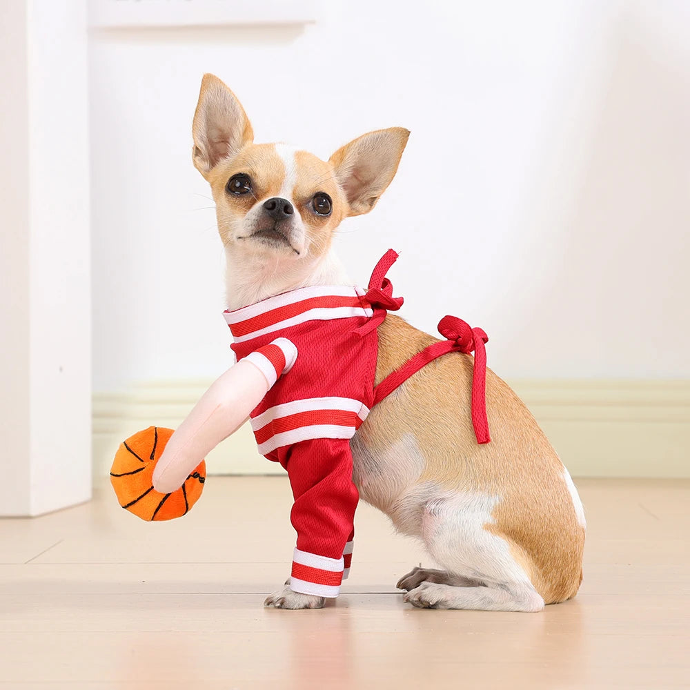 Hund i basketdräkt